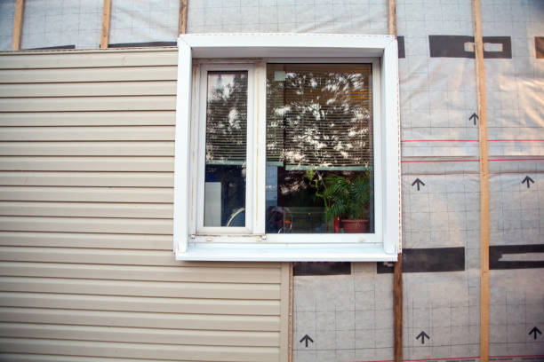 Best Custom Trim and Detailing for Siding  in Grant, NE